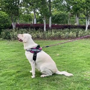 2026 Hot Sale [ Shipped from China ] Specially designedleash anti-shock dog leash reflective round rope dog chain dog leash that doesnt pinch the hand traction strap B3