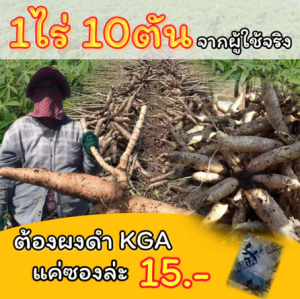 ผงดำ KGA นวัตกรรมใหม่เพื่อการเกษตร เพิ่มผลผลิต ลดต้นทุน ลดปุ๋ย ลดเคมี