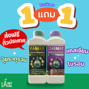 CABMAXแคลเซียมโบรอน+ VAMAX ปุ๋ยธาตุรวม ปลอดภัย 100% ขึ้นทะเบียนจากกรมวิชาการเกษตร ส่งฟรี