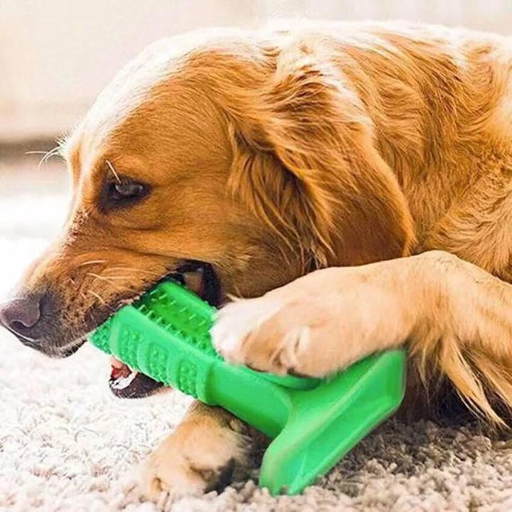Dog toothbrush stick dog teeth care brush stick effective cleaning tooth  massage stick non-toxic natural rubber bite-resistant dog toy Lazada PH