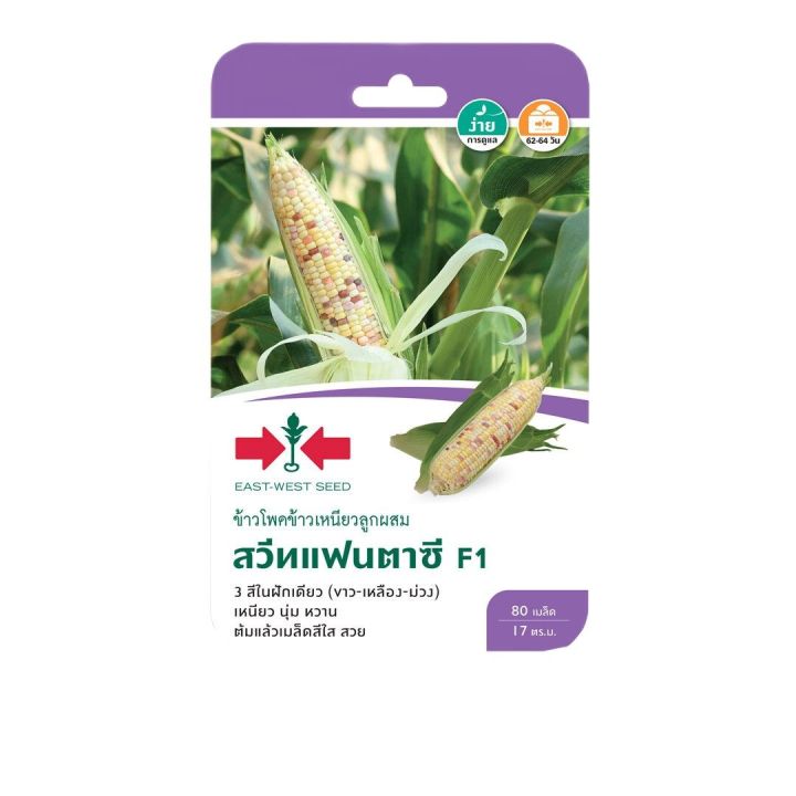 10 อันดับ เมล็ดพันธุ์ผักสวนครัวลูกผสม ยี่ห้อไหนดี? อัปเดตปี 2025