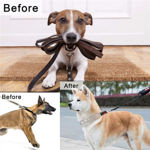 Dog Prong Collar Dog Pinch Training Collar with Quick Release Snap Buckle for Medium Large Dogs