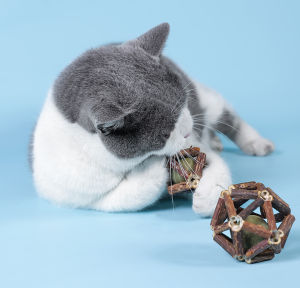 Catnip Đồ Chơi Bạc Hà Bạc Hà Bạc Hà Bạc Hà Làm Sạch Tự Nhiên Răng Hàm Thanh Hữu Cơ Cao Cấp Đồ Chơi Bạc Hà Mèo Hữu Cơ Làm Hài Lòng Thú Cưng Bóng Đồ Chơi Mèo
