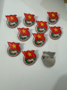 Combo 10c huy hiệu đoàn