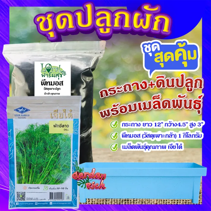 ชุดปลูกผักสวนครัว ผักชีลาว พร้อมดินและกระถาง