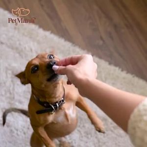 Marra  Dog / Puppy Dry Food Beef Milk and Chicken Flavor 1kg Collection dogs kibble