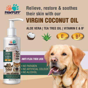 PAW PUFF Dog shampoo virgin coconut