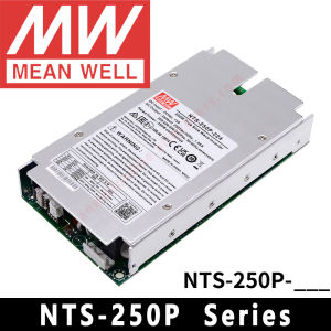 Original Mean Well NTS-250P-112/124/148/212/224/248 meanwell 250W Built-in Type True Sine Wave DC-AC Power Inverter