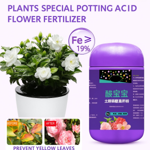 Organic Fertilizer with Fulvic Acid Soil Activator for pH Adjustment Plant Health Fertilizer Fruits Booster