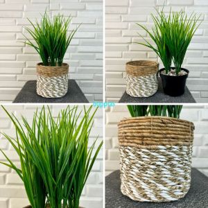 Tanaman Artificial Kucai X4 & Tanaman Artificial Watermelon Cover Seagrass Coklat Mini Pajangan Meja Kantor Aesthetic