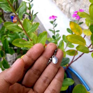 Kail Rayap Lure Killer: Kail Custom untuk Pengendalian Rayap