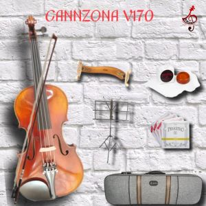 VERY BEAUTIFUL HANDMADE VIOLIN TONE-CANNZONA .V170E