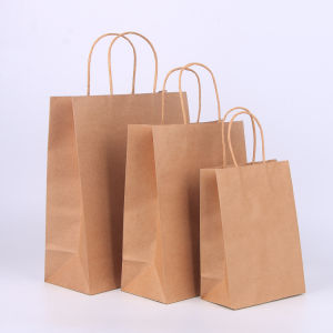 Twisted Handle Brown/Green Kraft Paper Bag with twist Handle bag Gift Bag 10pcs set