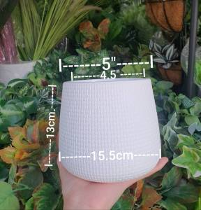 กระเป๋าเดีย ส่งเร็ว งานนำเข้า พลาสติก คุณภาพดี ริ้วรอย กระถางมินิมอล ไม่ต้องผ่าตัด สวยทนทาน กระถางต้นไม้ กระถางโมเดิร์น กระถางเบลล่า