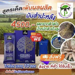 [1 กล่อง 10 ซอง] 4Tree​ของแท้ โฟร์​ทรี​ สารเสริมประสิทธิภาพพืชสูตรอิออน ช่วยเร่งราก พืชโตเร็ว ทำให้พืชเขียวทน ใช้ได้กับพืชทุกชนิด นวัตกรรมใหม่จากประเทศอิสราเอล ของแท้100%