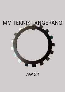 Washer AW 22 Ring Washer AW22