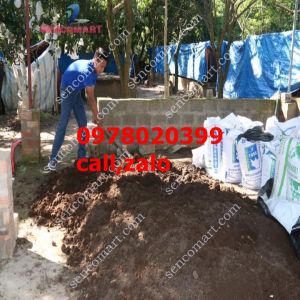 Máy ép cám viên s150 dây coroa