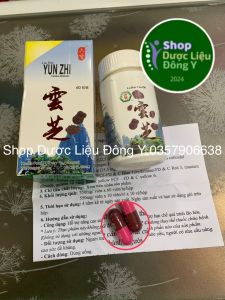 Lục BẢo Vân Chi [CHÍNH HÃNG HỘP 60 VIÊN] luôn có date mới