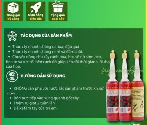 Dung dịch thuỷ canh chuyên cho cây thuỷ sinh cung cấp dinh dưỡng cho cây