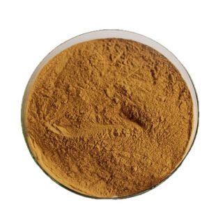 Jujube Extract 1kg package food raw material water-soluble powder quality guaranteed samples available ready stock free shipping