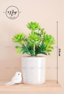Cây giả Chậu sen đá 5 hoa  trà xanh trang trí nhà cửa để bàn quà tặng ý nghĩa