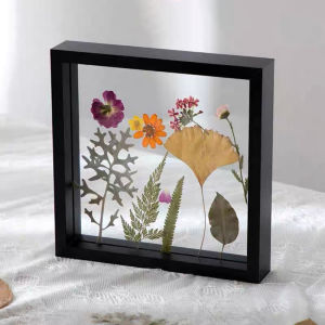 Transparent Glass Wooden Photo Floating Frame Picture Frame Plant Dried Flower Specimen Vintage