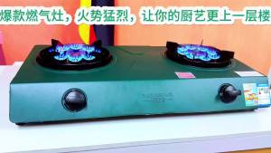 German Desktop Gas Stove Household Double Burner Nine-Chamber Raging Fire Stove Natural Gas Liquefied Gas Stove First-Class Energy Efficiency Stove