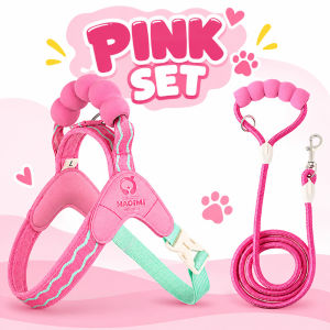 Pet Dog Harness Leash Set with Comfortable Handle for Easy Walking