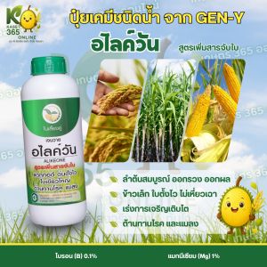 เจนวาย อไลค์วัน 1L. (สูตรเพิ่มสารจับใบ) รูปแบบน้ำใส ข้าวต้นตั้งโตไว แข็งแรง ใบเขียวเข้ม แตกกอดี พร้อมต่อการออกรวง