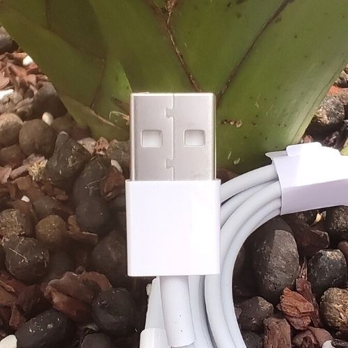 C%C3%A1p%20s%E1%BA%A1c%20nhanh%20iphone%20YASUI%20ch%C3%ADnh%20h%C3%A3ng%20foxconn%208ic%20c%E1%BB%95ng%20usb%20%C4%91%E1%BA%A7u%20c%C3%A1p%20lightning%20m%E1%BA%ABu%20d%C3%A2y%20s%E1%BA%A1c%20nhanh%20iphone%207/7plus/8/8plus/x/xr/xs%20max%2011/12/13/pro%20max%20b%E1%BA%A3o%20h%C3%A0nh%201%20n%C4%83m%20-%20Image%203