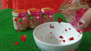 Pati Sarang Burung Asli Original Bird Nest Direct from Eco FarmMild and effective
