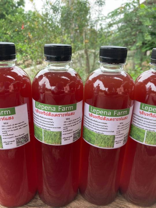 หัวเชื้อจุลินทรีย์สังเคราะห์แสง 600 มล. เร่งราก แตกยอด ปรับดิน