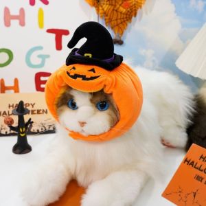 AINACHU Soft Pet Halloween Hat Cozy Pumpkin Dogs Hat Funny Transforming Cat Headgear Photo Prop