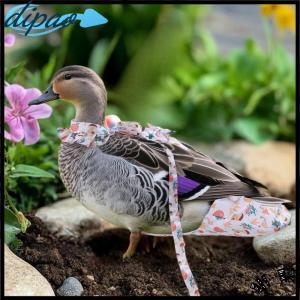 【dipao】 1 2Pcs Cute Cartoon Fashion Chicken Duck Vest Diaper Hen Belt Pet Traction Rope Set Comfortable Leads Pet Poultry Supplies