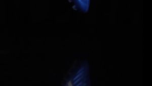 Mesh Breathable Soccer Shoes tf Broken Nail Artificial Turf Youth Student Campus Leather Foot Training Sports Shoes [ Free Shipping ]