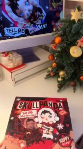 POPMART Skullpanda tell me what you want Series Figures pop mart skullpanda blind collection action figure decorative gift