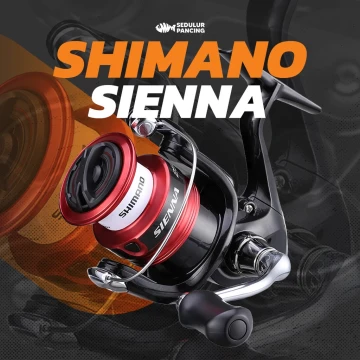 Jual Reel Shimano Sienna C3000 Terbaru - Apr 2024