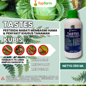 Obat Kubis Paling Ampuh / Oabt Racun Untuk Ulat Kubis Kol / Obat Ulat Tanaman Kubis Kol / Obat Penyubur Tanaman Kubis / Obat Pembesar Buah Kol / Obat Hama Tanaman Kubis / Obat Hama Kubis Kol