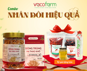 Sản phẩm chính hãng Đông trùng hạ thảo lọ thuỷ tinh 30gram thượng hạng sấy thăng hoa tặng kèm táo đỏ kỷ tử mật ong và chai thủy tinh