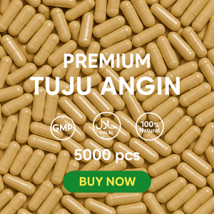 Tuju Angin (Sauda Halia Fenugreek) 5000 Capsules Traditional Herbs Manufacturer