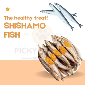 Premium Pet Treats for All Ages - Shishamo Fish Freeze Dried Cat Treats with Protein & Omega-3 Support