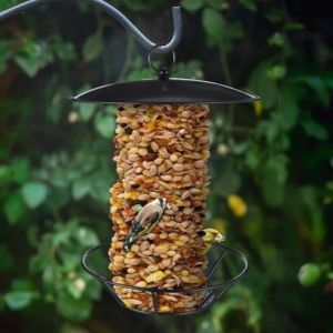 ER52858 Large Capacity Hanging Bird Feeder Cylindrical Clear View Bird Feeding Tray Metal Construction Multi-functional Food Dispenser Garden Yard