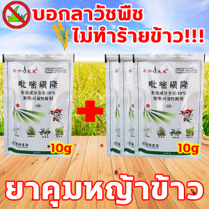 🌾1วันกำจัดวัชพืชให้หมด🌾ยาฆ่าหญ้า ซื้อ1แถม1 ยาฆ่าหญ้าในนาข้าว ไม่ทำร้ายข้าว แต่ฆ่าวัชพืช ยาฆ่าหญ้าในนา กำจัดวัชพืชไนนาข้าวได้ 99% สารกำจัดวัชพืชในนาข้าว ยาฆ่าหญ้าในนาขาั้ว หลังใช้ ไม่มีวัชพืชอีกต่อไป ยาคุมหญ้าข้าว