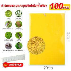 100 ใบ แผ่นกาวดักแมลง (สีเหลือง) กาวดักแมลงวัน มีกาวในตัว มีให้เลือกหลายขนาด  กับดักแมลงกินผัก แมลงทำลายผลผลิต ดักแมลงศัตรูพืช กาวดัก