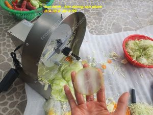 Máy thái  lát các loại củ quả để xào  chiên giòn ...