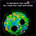 Suomi 3-13mm Luminous Sand Stone Glow In Dark Home Pebbles Stone Path Outdoor Yard Fish Tank Decorations. 