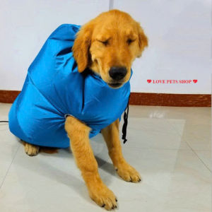 Túi trùm sấy khô lông cho Chó Mèo (mẫu mới) - Love Pets Shop