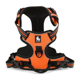 ⚡ส่งจากไทย⚡C102 TRUELOVE TH Pet Harness: ปลอกคอรัดอกสุนัข ป้องกันอันตรายจากการกระชาก ฮาเนสสุนัขหมาแบบรัดอกสุนัข