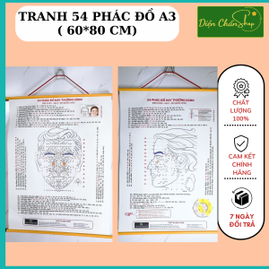 Tranh 54 Phác Đồ Diện Chẩn ( Combo 2 tranh mặt chính diện + mặt nghiêng ) - Dụng Cụ Diện Chẩn