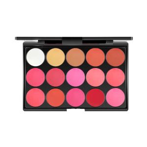 MICACOH Waterproof Matte Lipstick Palette Long Lasting Non-Sticky Cup 15 Color Lip Gloss Palette Cosmetics Moisturizing Female